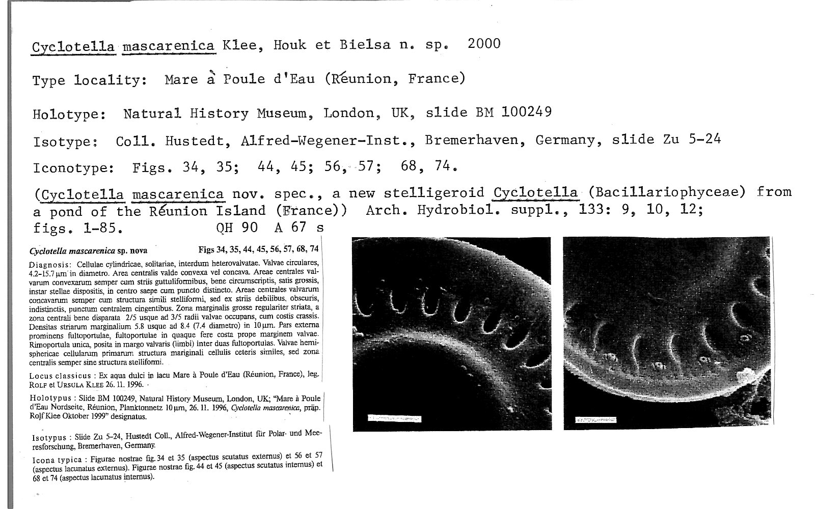 Ansp Diatom New Taxon File