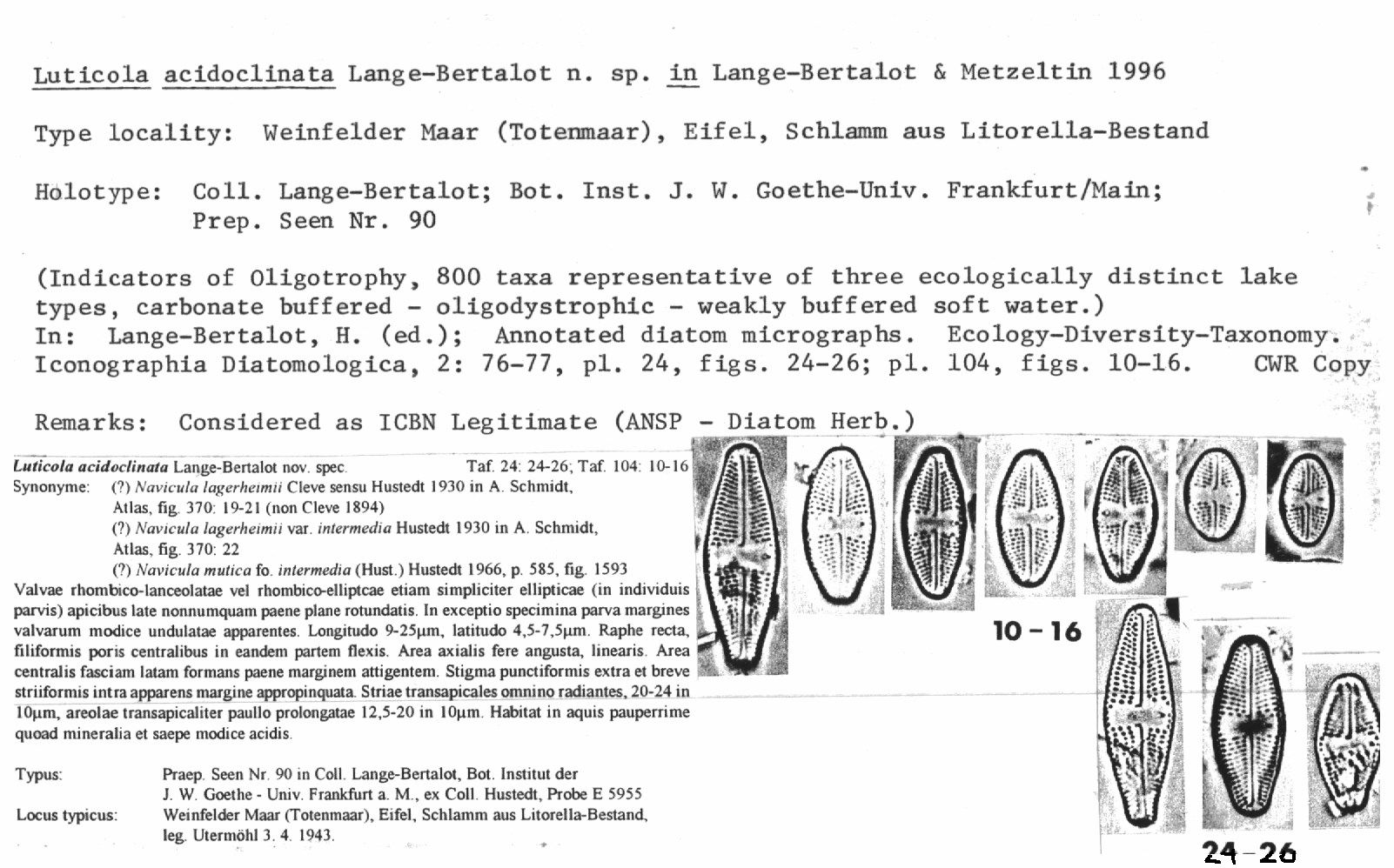 Ecology: Vol 104, No 4