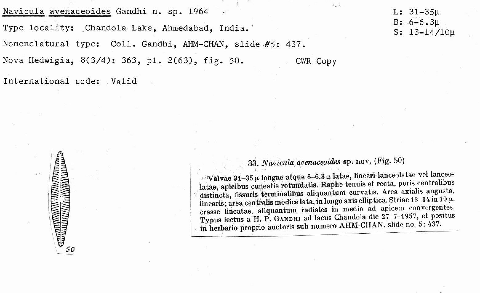 Ansp Diatom New Taxon File