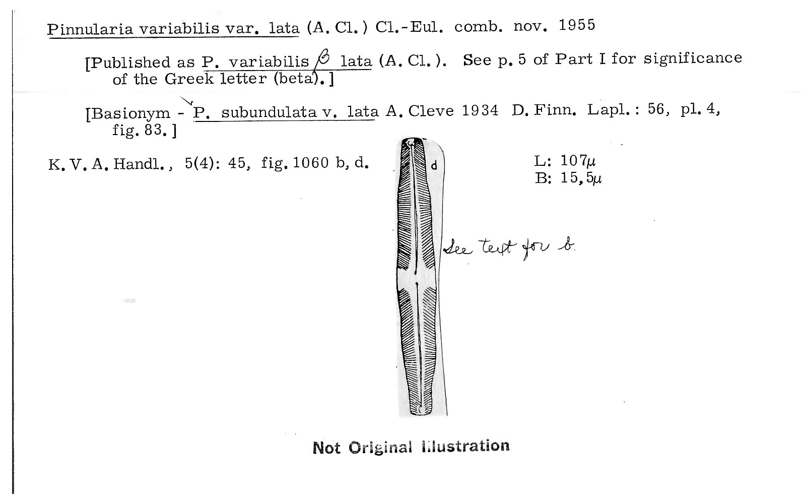 Ansp Diatom New Taxon File