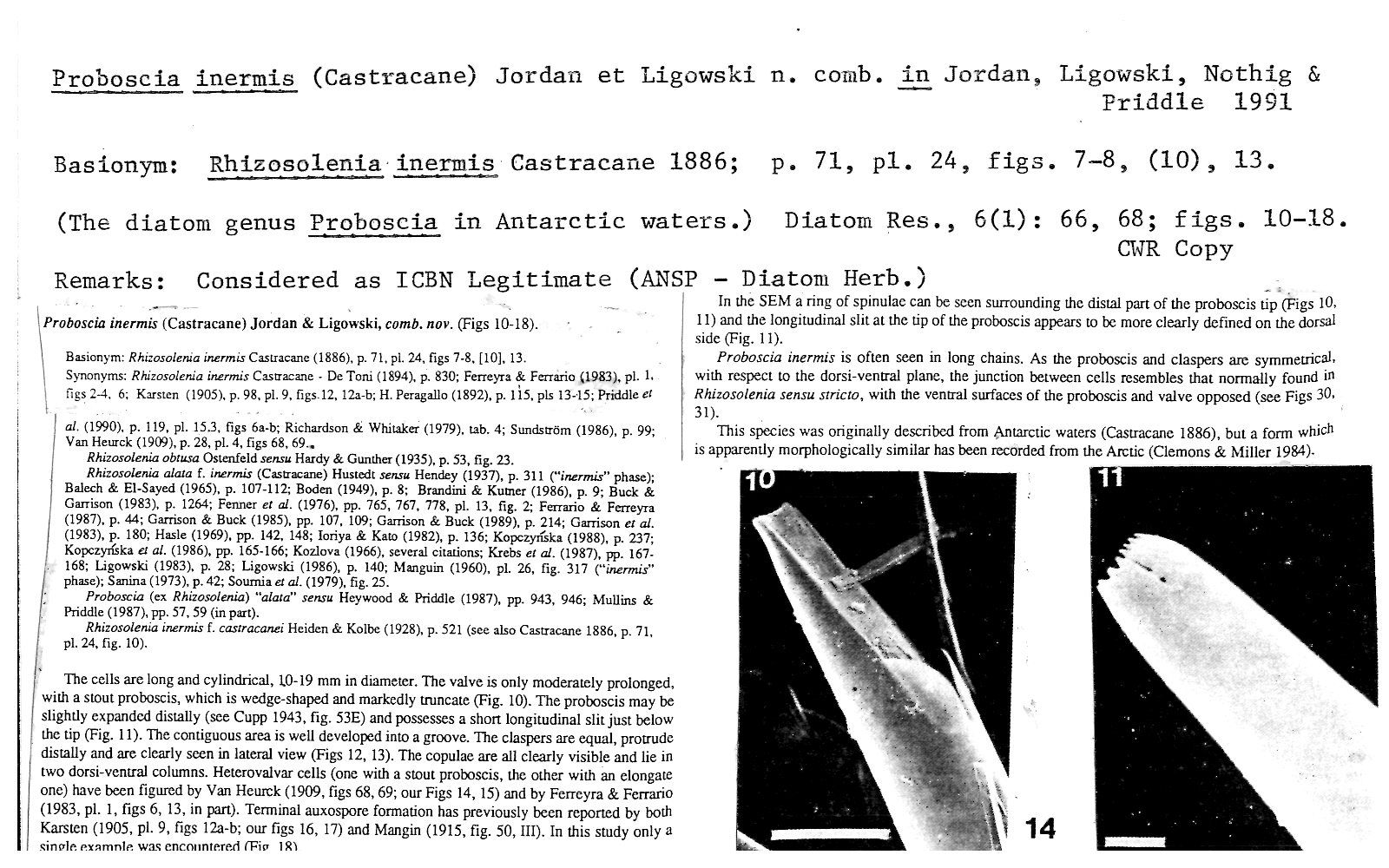 LATITUDINAL VARIATION IN PROTANDRY AND PROTOGYNY IN POLISTINE WASPS:  Monitore Zoologico Italiano - Italian Journal of Zoology: Vol 20, No 1