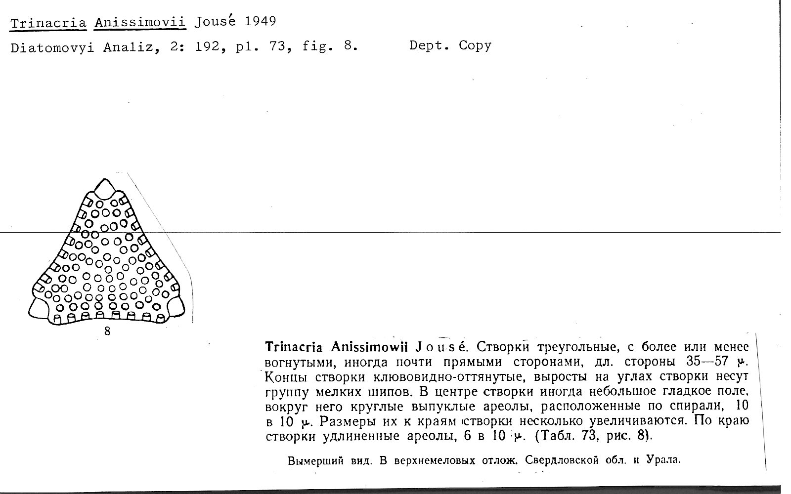 Ansp Diatom New Taxon File