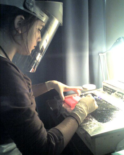 Holly Lutz cutting bands from an Agarose gel in the Field Museum's Pritzker Lab for Molecular Systematics and Evolution.